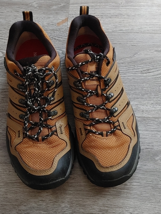 Other - The North Face Hiking Shoes